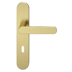 Ensemble poignée sur plaque rond serrure Minzh effet laiton satin doré L.120mm x l.42mm entraxe 165-195mm-GoodHome Hot