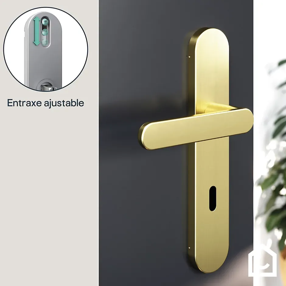 Ensemble poignée sur plaque rond serrure Minzh effet laiton satin doré L.120mm x l.42mm entraxe 165-195mm-GoodHome Hot