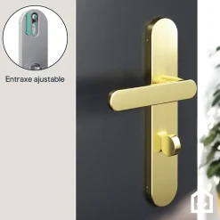 GoodHome Ensemble poignée sur plaque rond à condamnation Minzh effet laiton satin doré L.120mm x l.42mm entraxe 165-195mm