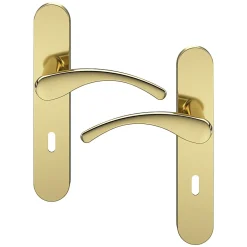 Ensemble poignée sur plaque rond serrure Ruis effet laiton doré L.138.5mm x l.42mm entraxe 165-195mm-GoodHome New