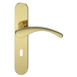 Ensemble poignée sur plaque rond serrure Ruis effet laiton doré L.138.5mm x l.42mm entraxe 165-195mm-GoodHome New