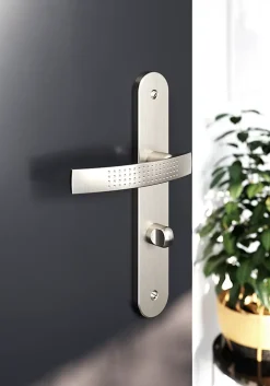 GoodHome Ensemble poignée sur plaque rond à condamnation Diss effet nickel satin gris L.139mm x l.40mm entraxe 195mm