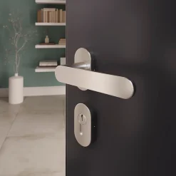 Ensemble poignée sur rosace à visser Minzh effet nickel satin gris Ø63mm-GoodHome Best