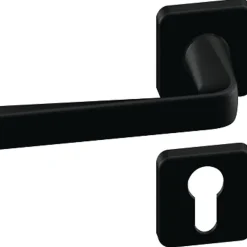 Vachette Ensemble sur rosace - Kaza - - Clé I - Noir