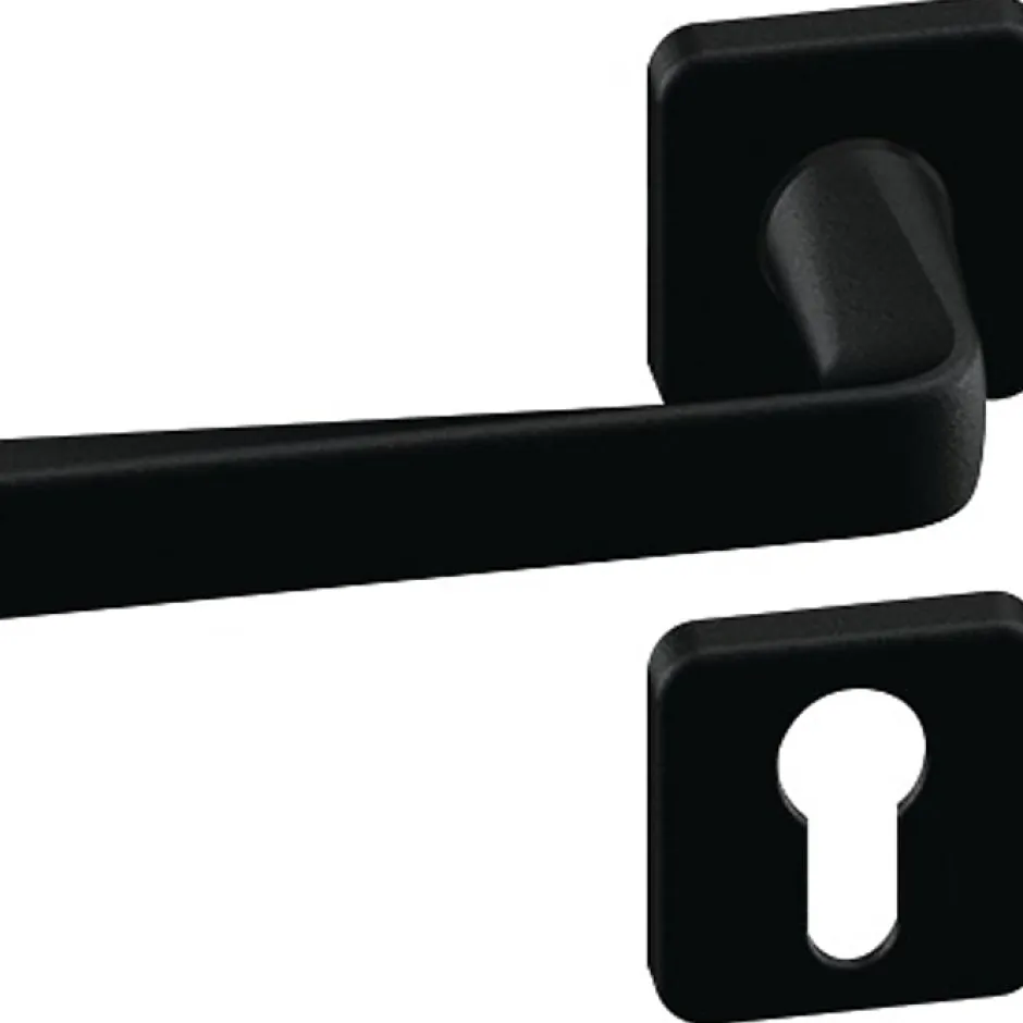 Vachette Ensemble sur rosace - Kaza - - Clé I - Noir