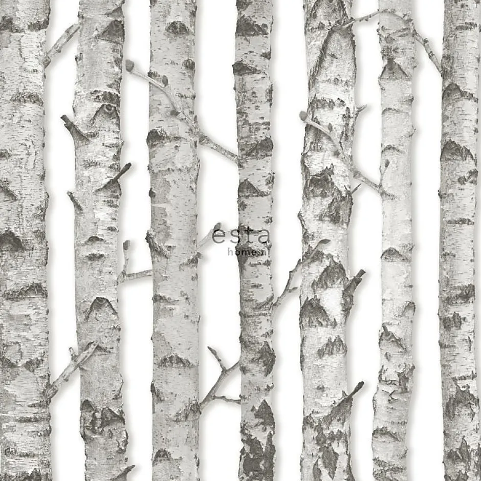 Estahome papier peint troncs de bouleau gris chaud clair - 53 cm x 10.05 m - 138889