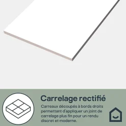 GoodHome Faïence murale blanc brillant L.90 x l.30 cm x ép.8,7 mm, Aragone