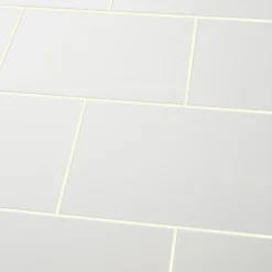 Faïence murale blanc brillant L.40 x l.25 cm x ép.8,3 mm, Alexandrina