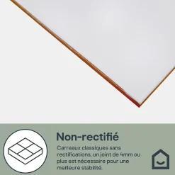 Faïence murale blanc mat L.40 x l.25 cm x ép.8,3 mm, Alexandrina-GoodHome Clearance