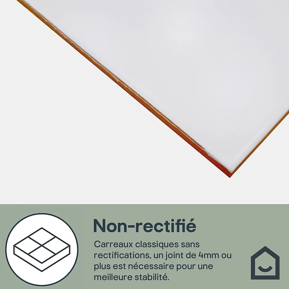 Faïence murale blanc mat L.40 x l.25 cm x ép.8,3 mm, Alexandrina-GoodHome Clearance