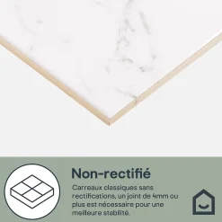 GoodHome Faïence murale effet marbre blanc L.60 x l.20 cm x ép.9,4 mm, Aruma