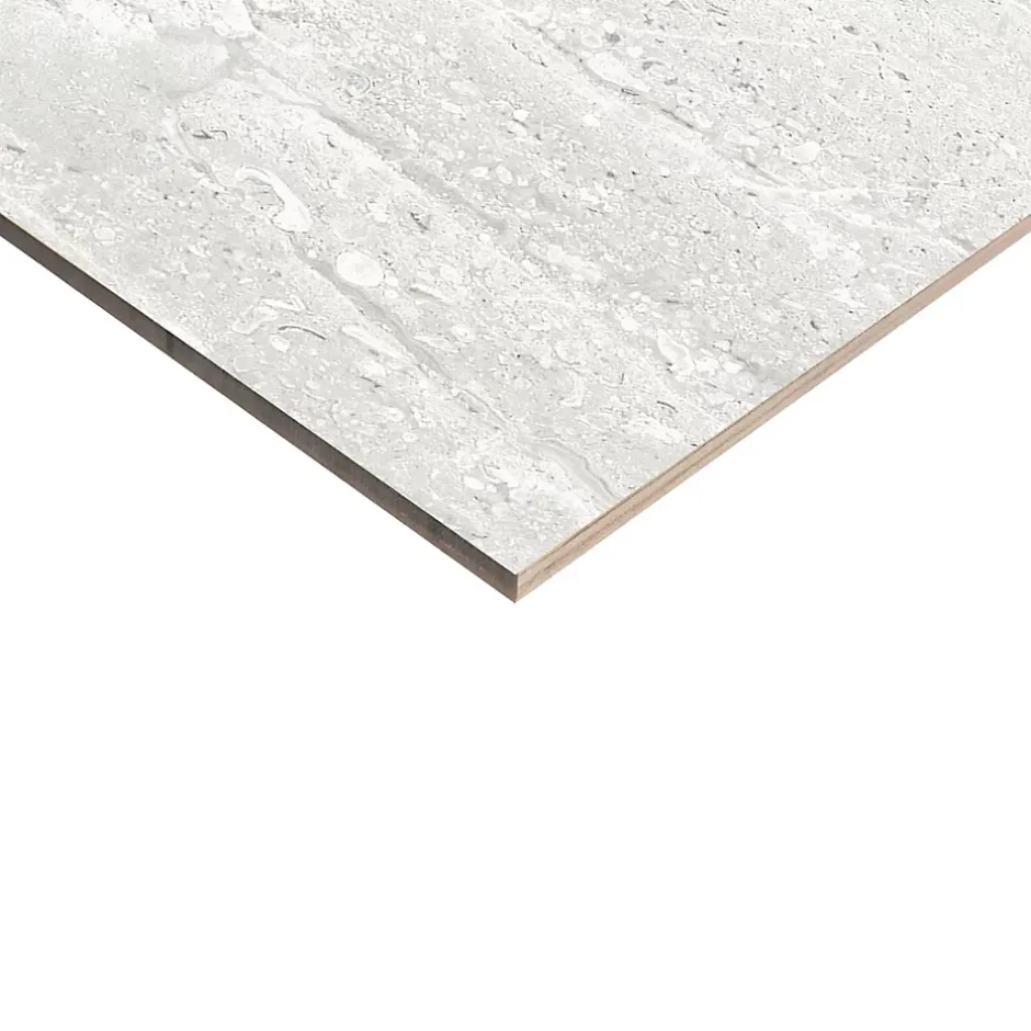 Ecoceramic Faïence murale effet pierre blanc mat L.60 x l.20 cm x ép.9,5 mm, Althea