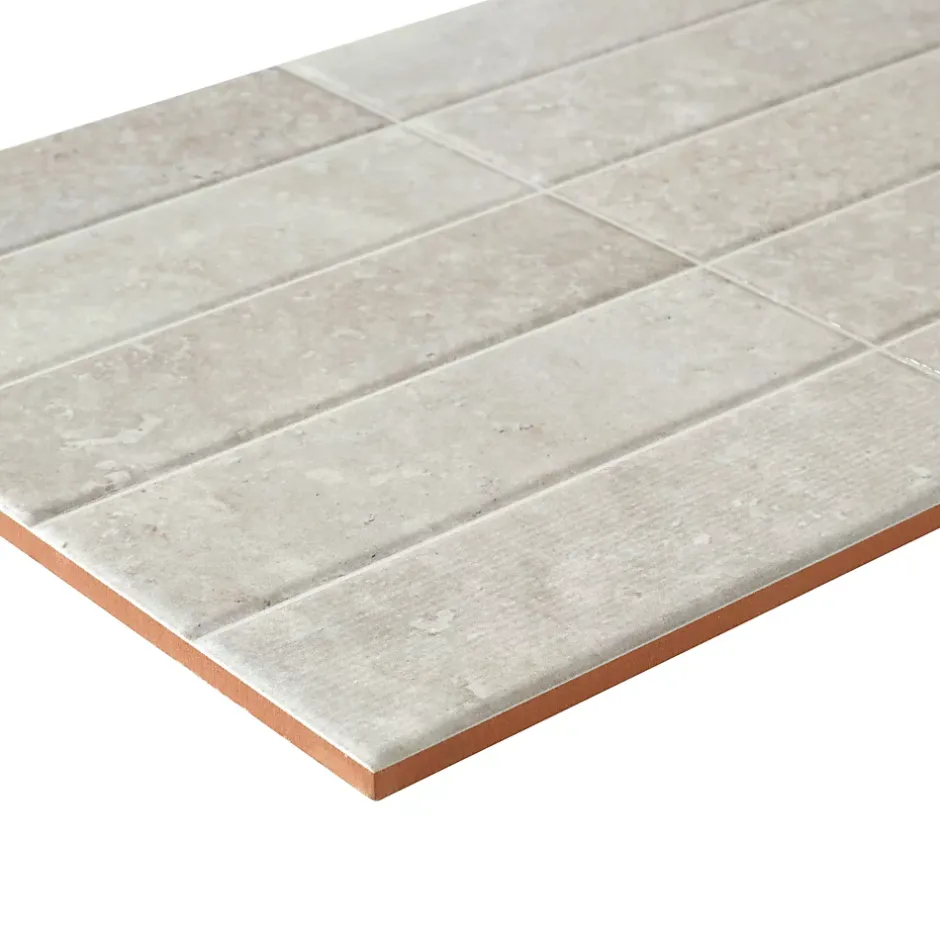 Alaplana Faïence murale en terre cuite effet pierre gris décor mat L.60 x l.30 cm x ép.8,5 mm, Nor