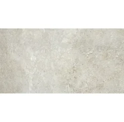 Alaplana Faïence murale en terre cuite effet pierre gris mat L.60 x l.30 x ép.8,5cm, Nor