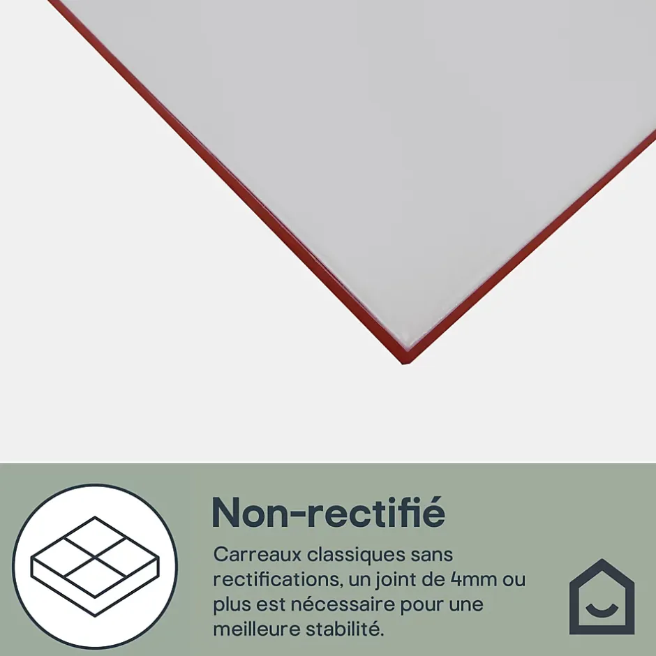 GoodHome Faïence murale gris clair satiné L.60 x l.20 cm x ép.8,3 mm, Plain