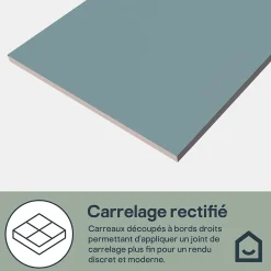 Faïence murale intérieur bleu satiné L.60 x l.30 cm x ép.7 mm, Colville-GoodHome Sale