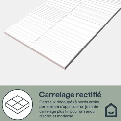 GoodHome Faïence murale intérieur blanc brillant à motif L.60 x l.30 cm x ép.7 mm, Colville