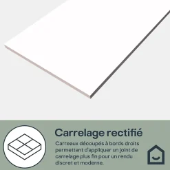 Faïence murale intérieur blanc brillant L.60 x l.30 cm x ép.7 mm, Colville-GoodHome Hot