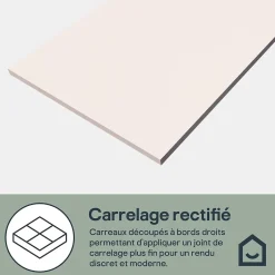 Faïence murale intérieur sable satiné L.60 x l.30 cm x ép.7 mm, Colville-GoodHome New