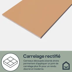 Faïence murale intérieur terracotta satiné L.60 x l.30 cm x ép.7 mm, Colville-GoodHome Clearance