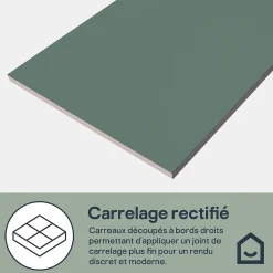 Faïence murale intérieur vert satiné L.60 x l.30 cm x ép.7 mm, Colville-GoodHome Hot