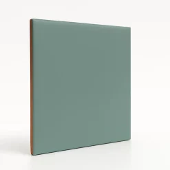 Faïence murale unie vert satin L.20 x l.20 cm, Monocolor- Hot