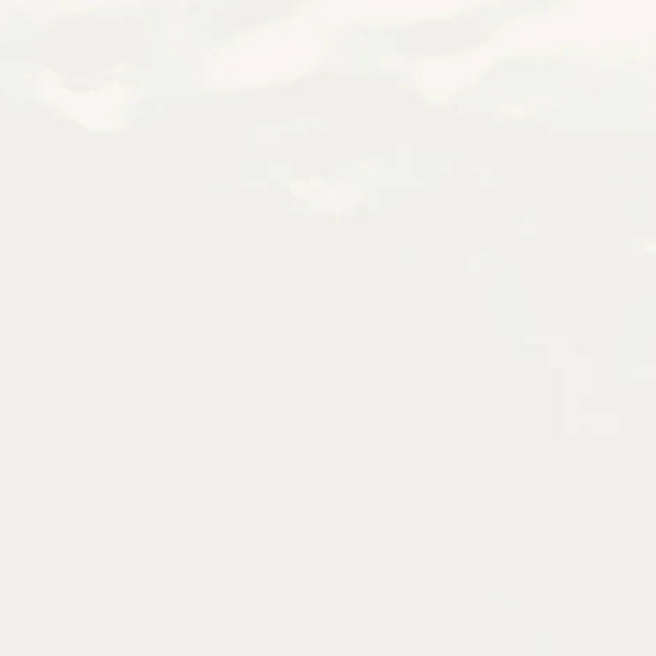 Faïence Paola Blanc 20 x 20cm ( vendu par boite de 1 m² )-Vives New