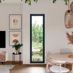 GoodHome Fenêtre fixe double vitrage en aluminium gris l.63 x H.217 cm