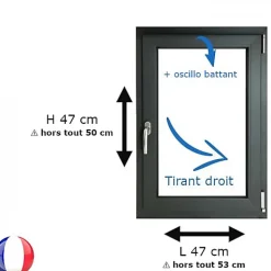Gefradis Fenêtre PVC 1 vantail H 47 x L 47 cm OB anthracite pour pose en neuf - tirant droit