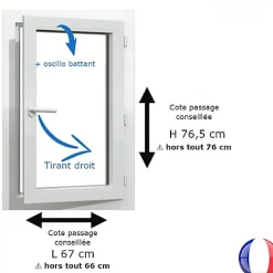 Fenêtre PVC blanc 1 vantail hors tout H 76 x L 66 cm oscillo battant pour pose rénovation - tirant droit-Gefradis