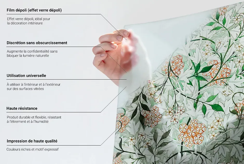 Film décoratif pour vitre 100x146 cm Protège efficacement l'intimité Symétrie Des Plantes 1 rol.-Wallfluent Clearance