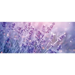 Film Fenêtre Anti Regard Occultant - CHAMP DE LAVANDE - Stickers pour Vitres & Porte de Douche - 40x100cm-Ambiance Sticker Sale