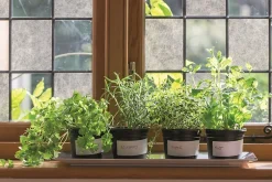 D-C-Fix Film occultant statique pour vitre ® Premium Papier de riz 1.5m x 0.90m