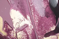 Impression sur toile violet feuilles cm 80x3x120-Mauro Ferretti New