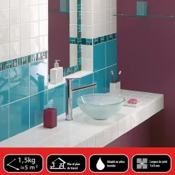 Parexlanko Joint en pâte pour carrelage 5 kg blanc