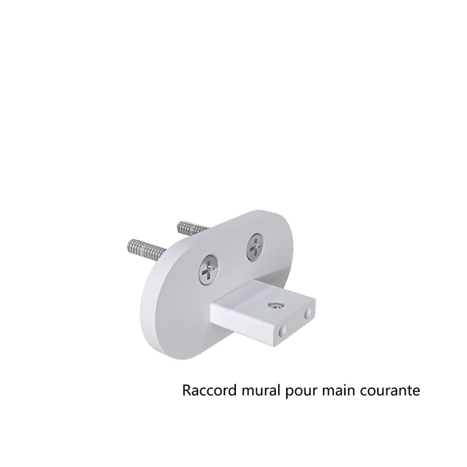 AICA Sanitaire Kit Garde-corps 2m avec raccords muraux - Alu ARGENT - Pose verticale à plat - Pour usage intérieur et extérieur