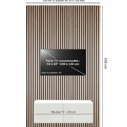 Decoon Lot de 5 panneaux tasseaux bois 250x30x1 cm - Pack Mur TV bois 150cm - Lamelles chêne clair véritable fond noir - 3,75m²