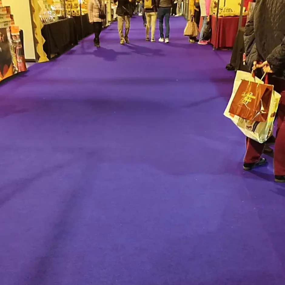 Décoweb Moquette - Stand Event - Violet - 2 m x 10 ml