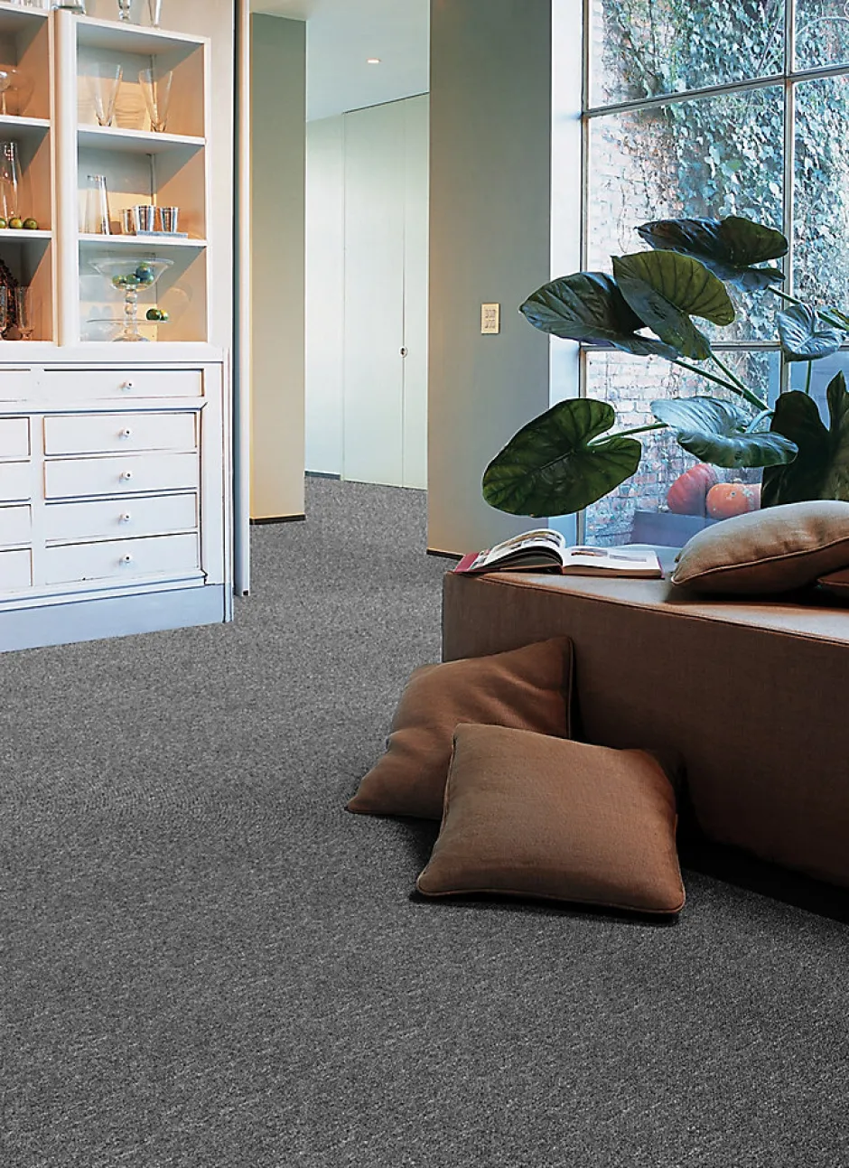 Balta Moquette bouclée anthracite Maas 4m (vendue à la coupe)