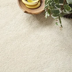 Décoweb Moquette chambre - Lumicolor - Beige clair - Rouleau de 5m x 15m