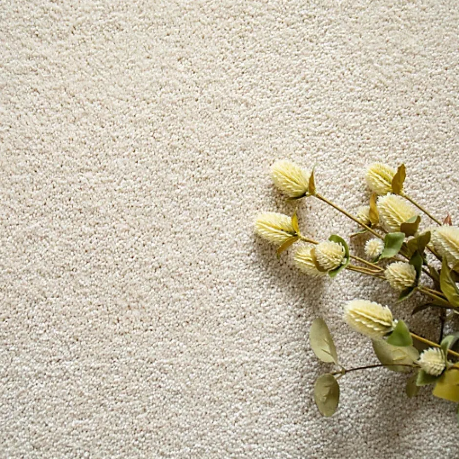 Décoweb Moquette chambre ou salon - Select - Ecru - Echantillon 15 x 20 cm