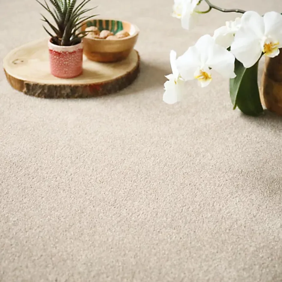 Moquette en polyester recyclé - Re-cycle - Beige - Rouleau de 4m x 4m-Décoweb Hot