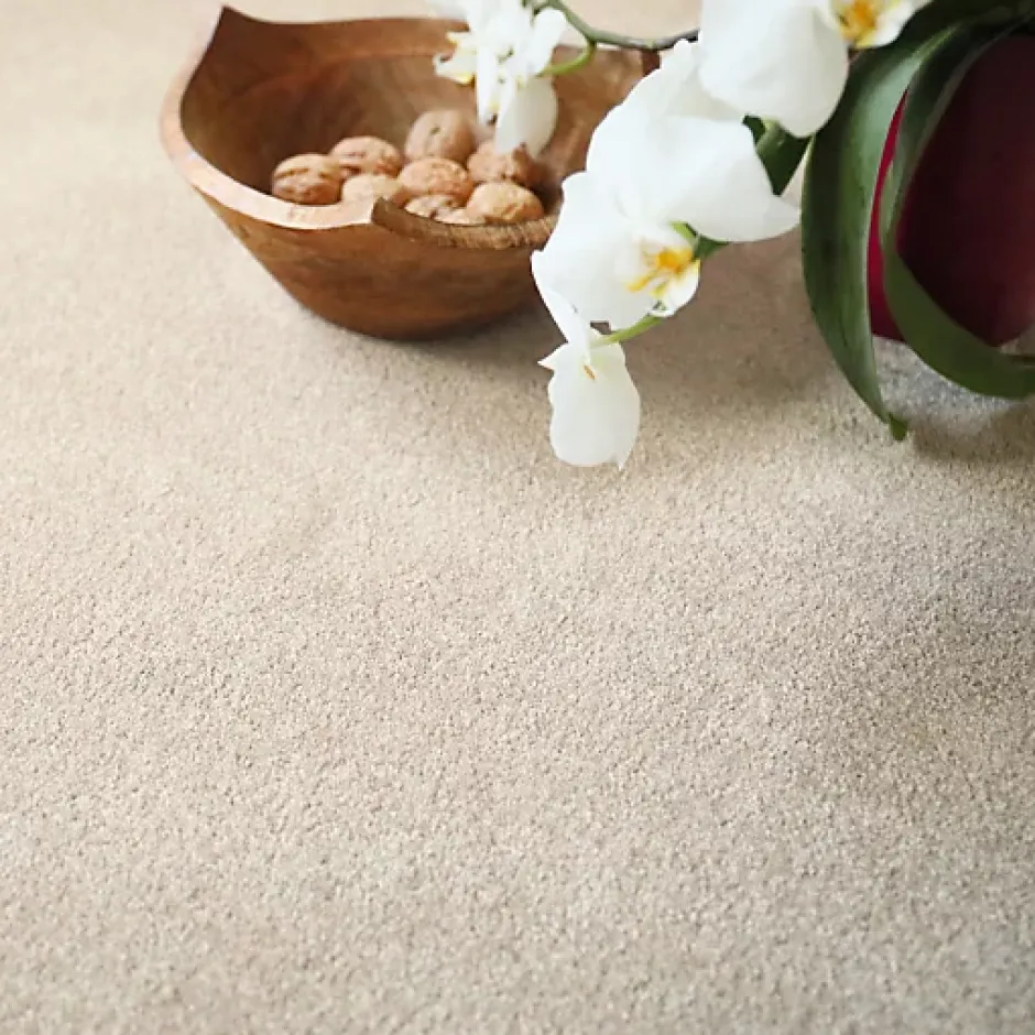 Décoweb Moquette en polyester recyclé - Re-cycle - Beige - Rouleau de 4m x 18m