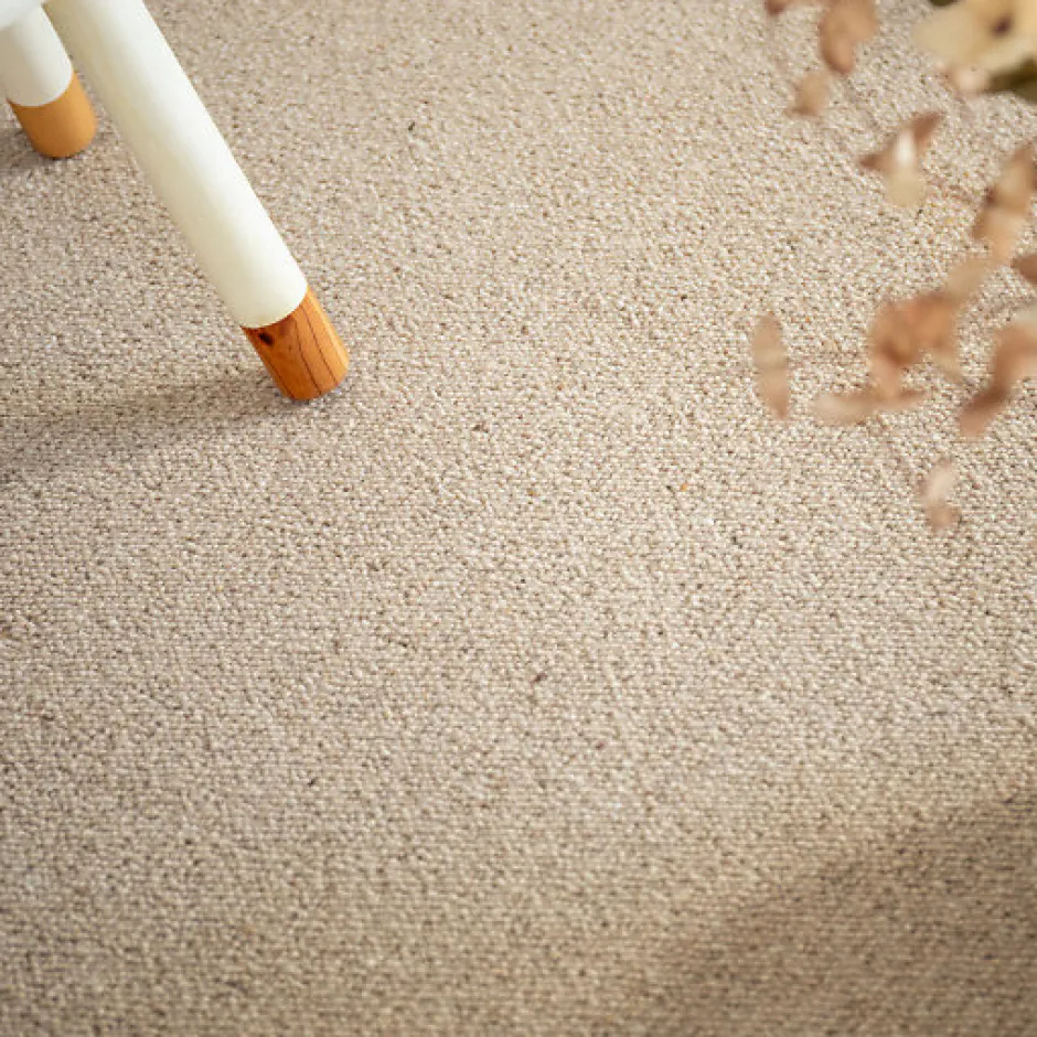 Moquette pure laine vierge bouclée - Mallow - Beige - Rouleau de 4m x 2m-Décoweb Hot