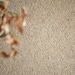 Décoweb Moquette pure laine vierge bouclée - Mallow - Beige - Rouleau de 4m x 1m