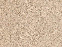 Moquette velours tendance Bliss beige 4m (vendue à la coupe)- New