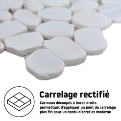 Mosaïque sol et mur en pierre ivoire forme galets L.31,5 x l.31,5 cm x ép.8 mm, Malaca