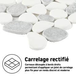 Mosaïque sol et mur en pierre galets blancs et gris L.31 x l.31,5 cm x ép.8 mm, Malaca