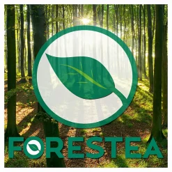 Forestea Moulures de couverture chêne clair 2500 x 120 x 30 mm