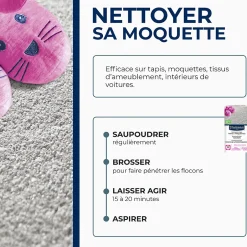 Nettoyeur à sec tapis et moquettes 500g-Starwax New